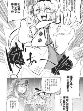 (同人誌) [さやかた紅茶館] 全ての駄目で足らぬ貴様でも一つの墓で十分だ (東方) (非エロ)_