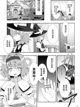 [mttyf個人漢化] (C79)(同人誌)[のうないカノジョ(キシリトヲル)]霧雨魔理沙の憂鬱 (東方Project)_marisa_13