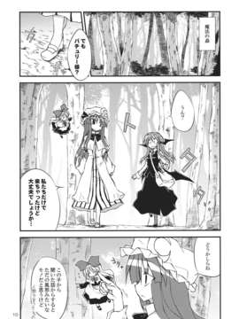 (C82) (同人誌) [粟米湯] 気になるキミに効くクスリ!! (東方) (非エロ)_