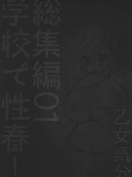 (C82) (同人誌) [乙女気分 (三色網戸。)] 学校で性春！総集編1 (オリジナル)__030