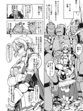 (C82) (同人誌) [Xration (mil)] 姫騎士テイム2 (ラグナロクオンライン)_2_028