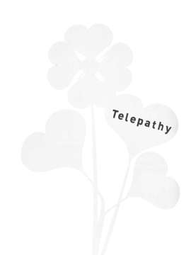 [百度天才麻将少女吧](C82)(同人誌)[薄荷屋] Telepathy (咲-Saki-)_03