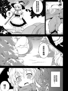 (C83)(同人誌)[ししがみ] チルノの冬 (東方)(非エロ)[喵玉汉化_610]_003