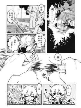 (C82)(同人誌)[色は匂えど] いきもののおもみ (東方)(非エロ)[喵屋汉化]_003