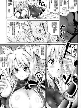 [空気系☆漢化] (C83) [FULLMETAL MADNESS (旭)] 雪風巻 (DOG DAYS)_005