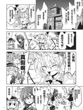 【CE家族社】(C83) [Area-S (Dra)] さんむすがあらわれた! (東方Project)_CE_121_004