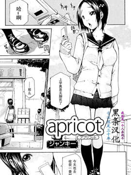 [ジャンキー]apricot アプリコット