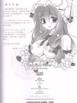 [中文][Wish+希冀之翼+] The Day Afte 帕邱莉篇(Touhou Project)_CCI20130524_0009