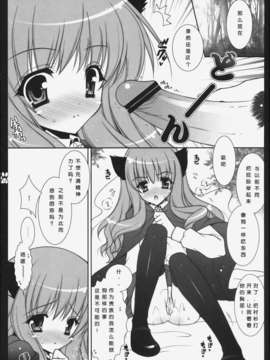 [snaah汉化] [しぐにゃん] そんなの許せないんだから！ (ゼロの使い魔)_12