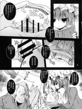 [伞尖绅士汉化组](大⑨州東方祭6) [きつねとぶどう (くろな)] 少女密室 (東方Project)_IMG_0005