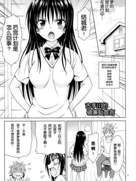 [脸肿汉化组] (COMIC1☆7) [ぶれいんでっど (Eiジ)] 古手川のハレンチ宣言 (ToLOVEる ダークネス)_02