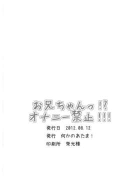 (C82) [何かのあたま (ぴかお)] お兄ちゃん!オナニー禁止!!! (オリジナル)_CE-149 (4)