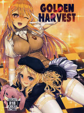 [年糕汉化组](C84)(同人誌)[煩悩ストリーム]GOLDEN HARVEST (とある科学の超電磁砲)_IMG_0001