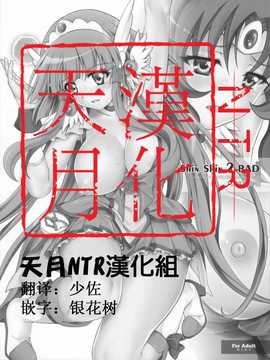 (C82)(同人誌)[サイクロン (和泉, 冷泉)] T-10 SHiN SHiN 2 BAD (ス_000001