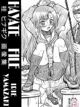 [蝶咲个人汉化](C77) [RAT TAIL (Irie Yamazaki)] HAYATE FILE 桂ヒナギク画像集 (ハヤテのごとく!)