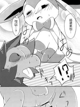 [无毒汉化组][Kemononokoshikake] Sweet Night (Pokemon)(CHINESE)_26_p_025