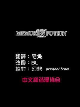 (C71)(同人誌)[ビタミンL] MEMORIES POTION アーシェ＆フラン (FFXII)[漢化]_002