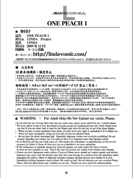 (C77)(同人誌)[LINDA Project] ONE PEACH 1 (ONE PIECE)[第三帝國漢化]_027