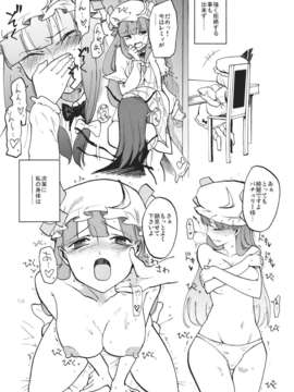 (C80) (同人誌) [白ネギ屋] ワイセツ図書館 (東方)_