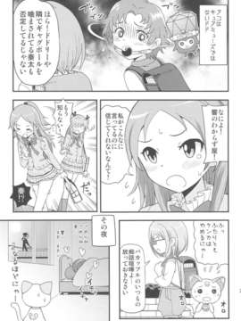 (C80) (同人誌) [居酒屋よっちゃん (江ノ島行き)] サラウンデッド (プリキュア)_sarounded_21