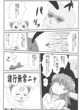 (C80) (同人誌) [居酒屋よっちゃん (江ノ島行き)] サラウンデッド (プリキュア)_sarounded_16