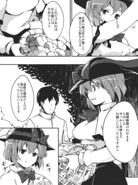 (C82)(同人誌) [てつのおとしご] 衣玖さんががんばる本 (東方Project)__006