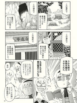 (C82) (同人誌) [犬と下僕の会] 勝手に振動バット (東方) (非エロ).zip_