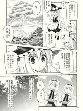 (C82) (同人誌) [犬と下僕の会] 勝手に振動バット (東方) (非エロ).zip_