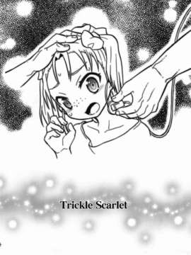 (C82) (同人誌) [Wicked Heart (ZooTAN)] Trickle Scarlet (アクセルワールド)_003