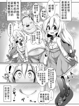 [复托个人汉化][コテ絵] 淫乱ロリエルフさんの種付けホームステイ [中国翻訳] [DL版]_03