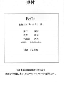 (C73) [灰同 (灰司)] FeGa (よろず)_img033