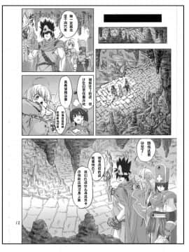 [オレンジピールズ(俺P1号)] 続・魔法使いvs. (ドラゴンクエスト III ) [上校个人汉化]_Page_12