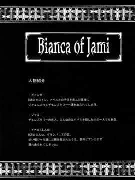 [蕎麦部 (らっそん)] Bianca of Jami (修正版) (ドラゴンクエストV)_03