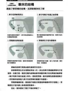 [マニアックラブ研究会] やらなくても解る性交と妊娠詳細解説 赤ちゃんのつくり方 [Chinese] [哔咔哔咔汉化组]_IMG_20180619_0024