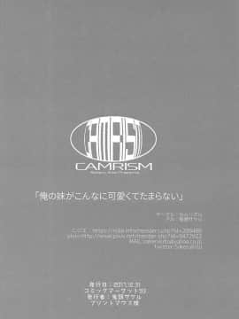 [沒有漢化](C93) [カムリズム (鬼頭サケル)] 俺の妹がこんなに可愛くてたまらない (エロマンガ先生)_026