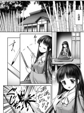 [世捨人な漫画描き (ともきとものり)] 寝たふり輝夜 (東方Project)_03