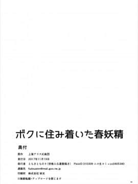 [世捨人な漫画描き (ともきとものり)] ボクに住み着いた春妖精 (東方Project)_33