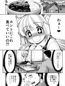 (C93) [世捨人な漫画描き (ともきとものり)] 「お返し」 (東方Project)_05