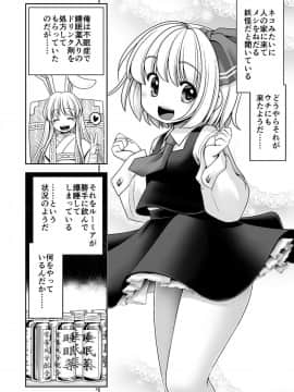 [世捨人な漫画描き (ともきとものり)] 開発眠姦 (東方Project)_06