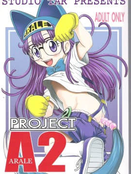 (C71) [スタジオた～ (狂一郎 、沙門)] PROJECT ARALE 2 (ドクタースランプ)