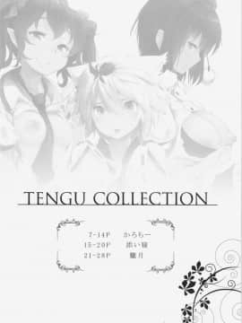 (例大祭12) [えくりぷす、餅屋、はんなま (朧月、かろちー、添い寝)] TENGU COLLECTION (東方Project)_06