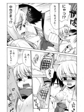 [稍日向] ぬこ巫女タン_18