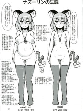 (C93) [チーズカンパニー (ペソ)] おとなりのナズーリンは繁殖期 (東方Project)_21