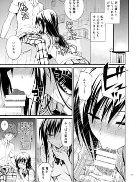 (C88) [日日楽楽 (青木幹治)] 私レンチ破ッテ捨テル。 (ToLOVEる -とらぶる-)_13