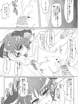 (例大祭8) [幼性アレルゲン (TEC)] ちゃーじどすくりーむ (東方Project)_a11