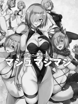 FGO No Erohon 4_003