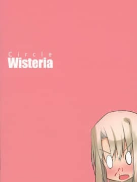 (ふたけっと 13) [Wisteria (ふじはん)] 美遊についてるアレがとにかくムズムズする本 (Fatekaleid liner プリズマ☆イリヤ)_02