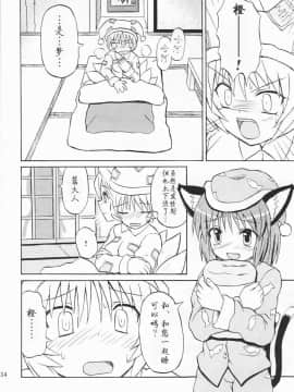 (例大祭2) [高久屋 (高久としひこ)] 東方妖女乱舞3 (東方Project) [中国翻訳]_34