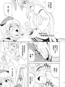 (例大祭3) [高久屋 (高久としひこ)] 東方妖女乱舞6 (東方Project) [中国翻訳]_12