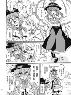 (C75) [高久屋 (高久としひこ)] 東方妖女乱舞9 (東方Project) [中国翻訳]_034_331r